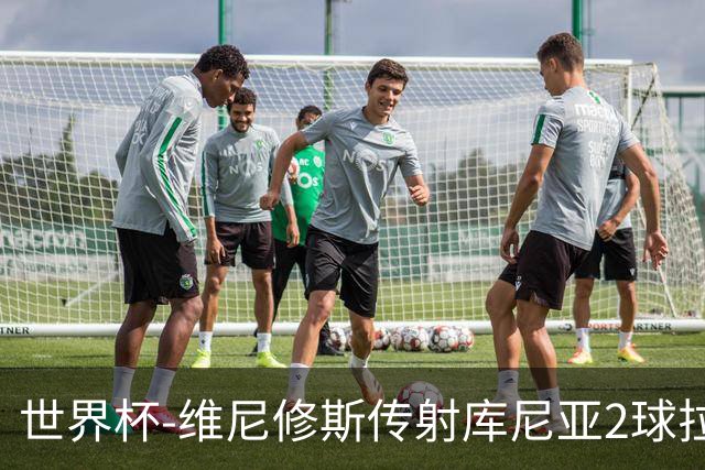 世界杯-维尼修斯传射库尼亚2球拉菲尼亚伤退 半场巴西3-0海地