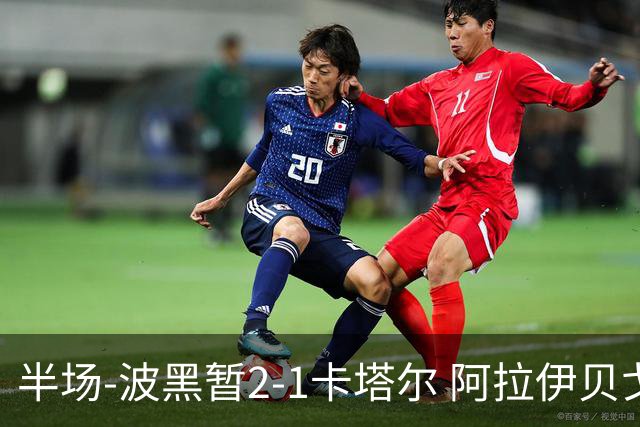 半场-波黑暂2-1卡塔尔 阿拉伊贝戈维奇世界波破门哲科造乌龙