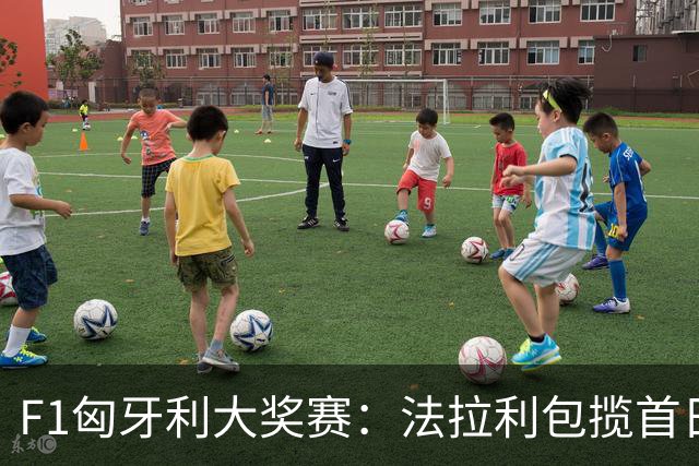 F1匈牙利大奖赛：法拉利包揽首日两次练习赛头名